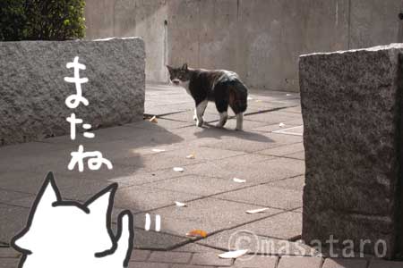 またね