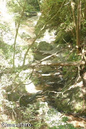 20100805の想い出
