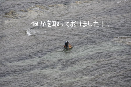 日本海