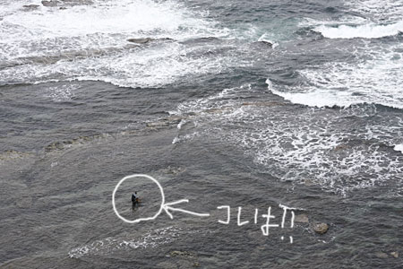 日本海