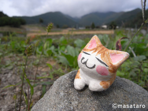 山と猫