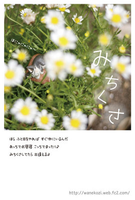 MODeL Tさんでの展覧会DM
