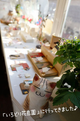 「いろどり花鳥園」 @ta Gallery