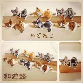 ms Stock Farm様に納品した子達 かどねこ