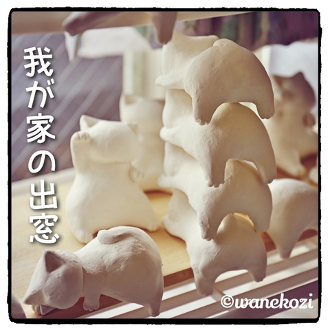 窓辺占拠!プリケツ猫