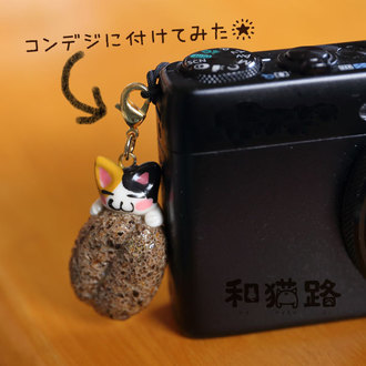 食べられない喫茶展2015【珈琲豆とねこ】