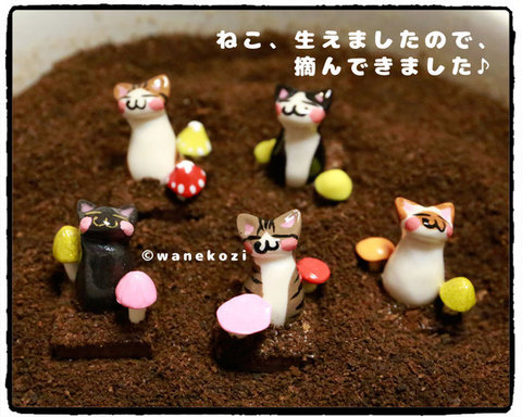 ニャンフェスにてデビュー