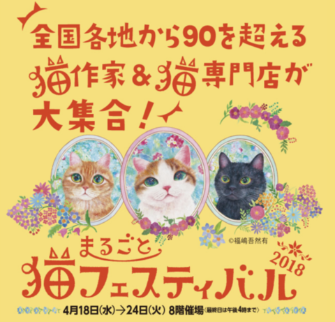和猫路