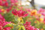 40D_057.jpg