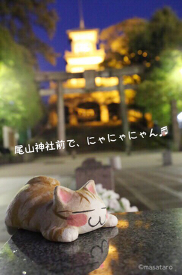 838524EB-B0ED-44A9-8B3E-0CE1DC8A61CB.jpg