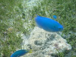 L4_107.jpg
