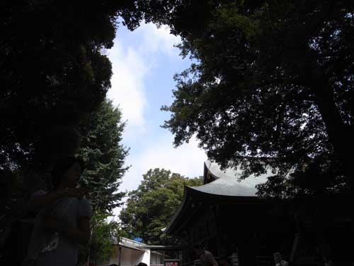R0010217.jpg