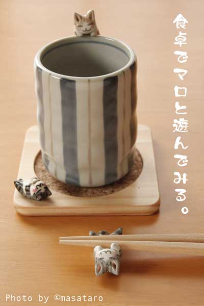 食卓で遊ぶ猫達