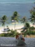 hotel01.jpg