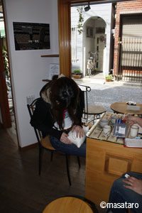 kote03.jpg