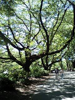 070814_1211~0002.jpg