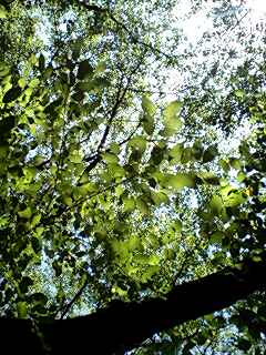 070814_1211~0003.jpg