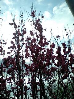 100404_0748~0001.jpg
