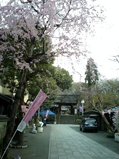 100404_0755~0002.jpg