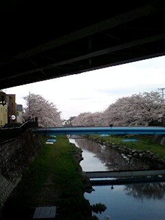 100404_0746~0001.jpg