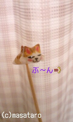 100629_2231~0001-0001.jpg