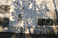 mei06.jpg