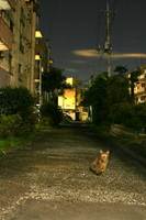 tukiyo3.jpg