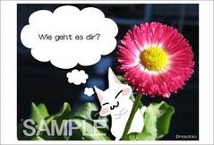 wiegeht.jpg