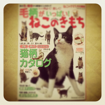 image-20120320032936.png