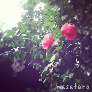 image-20120324114634.png